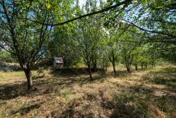 1.490 m² boomgaard met 2 oude huizen en 1 schuur in Podgore, Vidin - Bulgarije