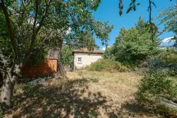 1.490 m² boomgaard met 2 oude huizen en 1 schuur in Podgore, Vidin - Bulgarije