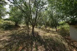 1.490 m² boomgaard met 2 oude huizen en 1 schuur in Podgore, Vidin - Bulgarije