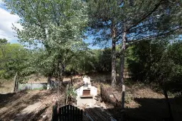 1.490 m² boomgaard met 2 oude huizen en 1 schuur in Podgore, Vidin - Bulgarije