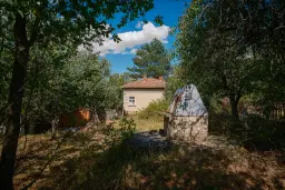 1.490 m² boomgaard met 2 oude huizen en 1 schuur in Podgore, Vidin - Bulgarije