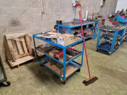 Onroerend goed en roerende zaken - Gerechtelijke liquidatie 339/2024 iov Rechtbank van Turijn