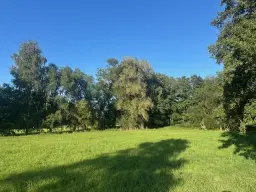 Off-grid perceel 1,2 hectare natuur in Osterfeld - Duitsland