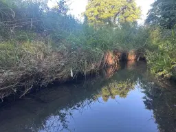 Off-grid perceel 1,2 hectare natuur in Osterfeld - Duitsland