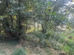 Off-grid perceel 1,2 hectare natuur in Osterfeld - Duitsland