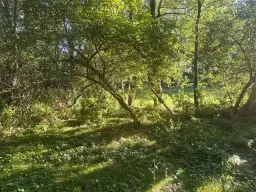 Off-grid perceel 1,2 hectare natuur in Osterfeld - Duitsland