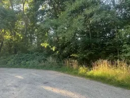 Off-grid perceel 1,2 hectare natuur in Osterfeld - Duitsland