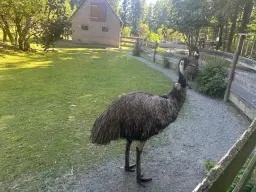 Off-grid perceel 1,2 hectare natuur in Osterfeld - Duitsland