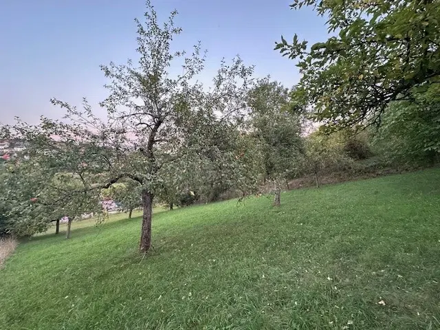 Eigendomsperceel met appelboomgaard, ca. 990 m² in Röttingen, Bayers - Duitsland