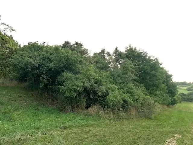 Eigendomsperceel met appelboomgaard, ca. 990 m² in Röttingen, Bayers - Duitsland