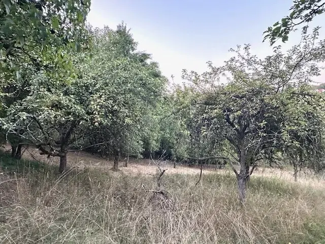 Eigendomsperceel met appelboomgaard, ca. 990 m² in Röttingen, Bayers - Duitsland