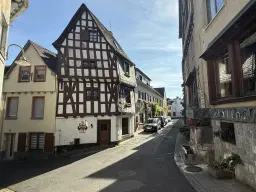 Wijngaard totaal 1.525 m² met Riesling aan de Moezel in Cochem - Duitsland