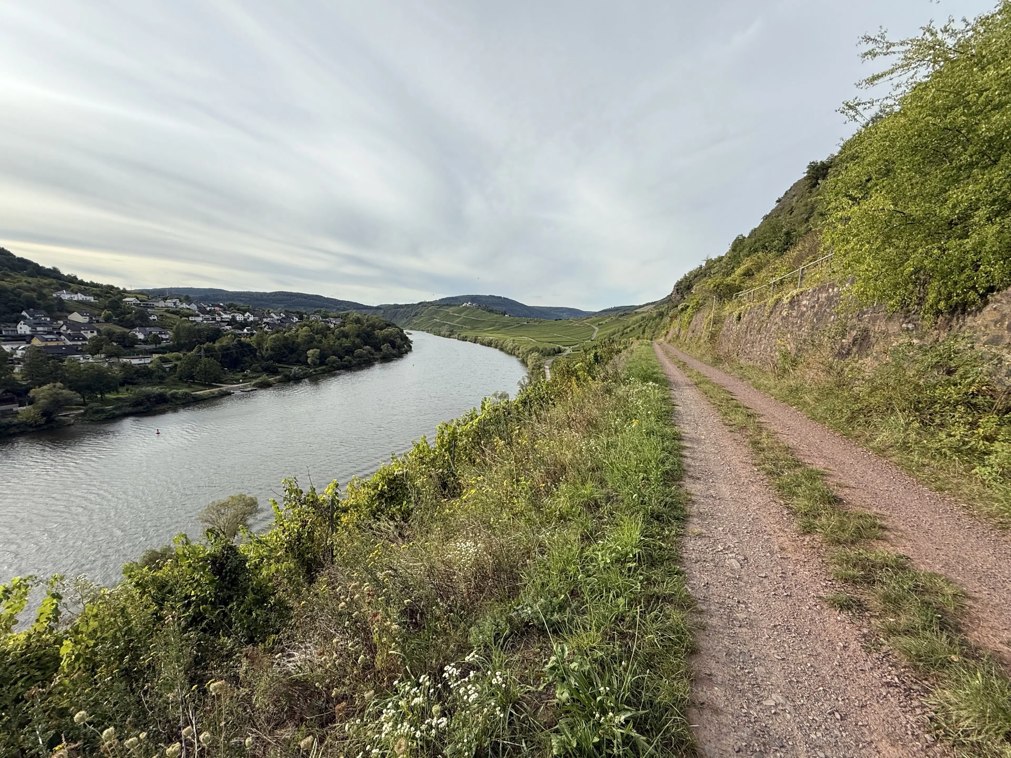 Wijngaard totaal 1.525 m² met Riesling aan de Moezel in Cochem - Duitsland