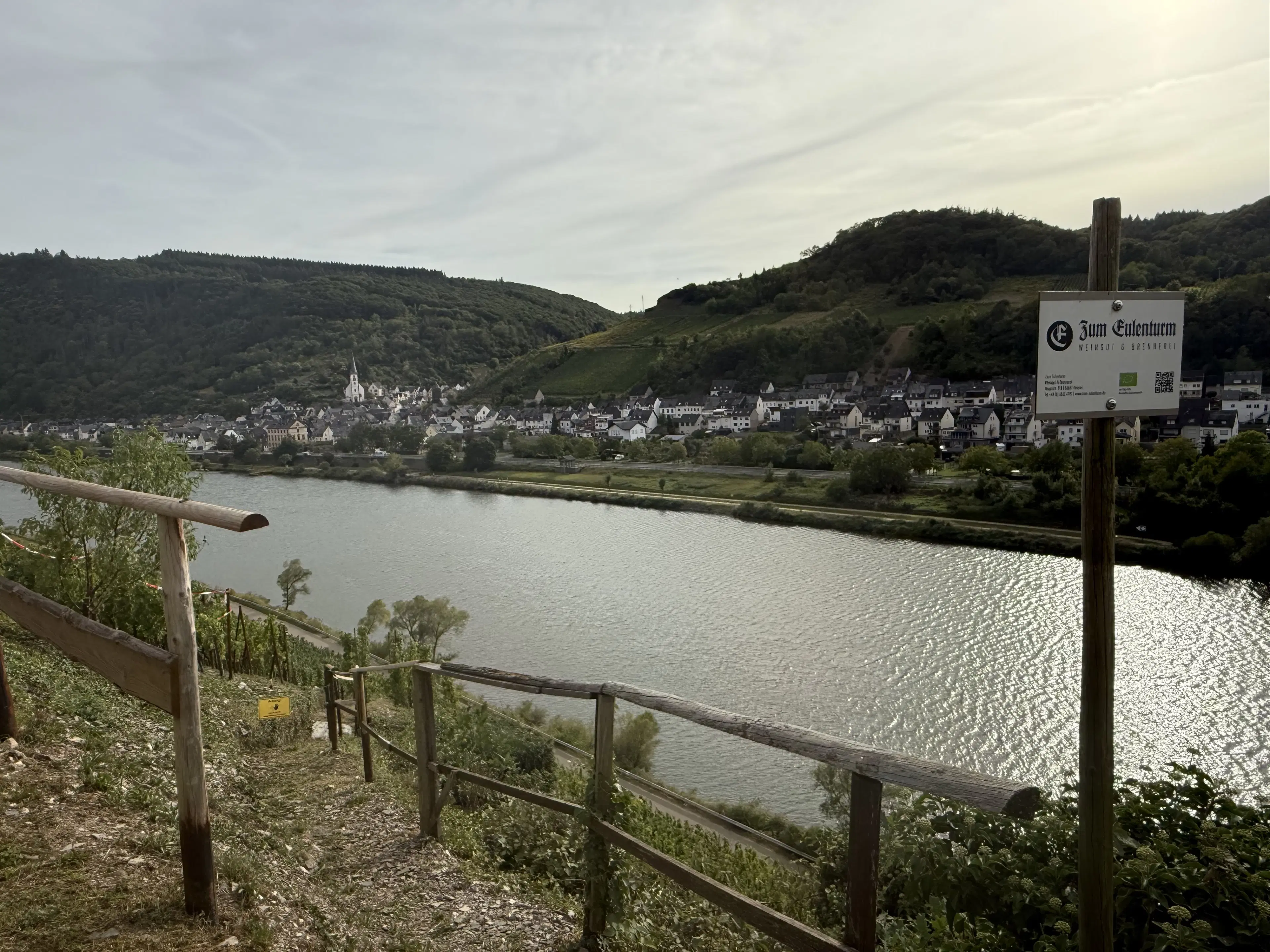 Wijngaard totaal 1.525 m² met Riesling aan de Moezel in Cochem - Duitsland