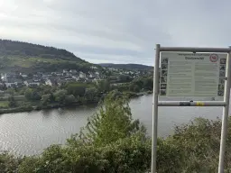 Wijngaard totaal 1.525 m² met Riesling aan de Moezel in Cochem - Duitsland