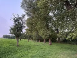 Eigendoms perceel 6.875 m² off-grid in Thüringen, Eischleben - Duitsland