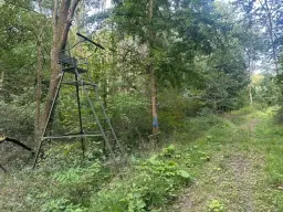 Ca. Hectare eigendoms perceel Bosgrond te Kirchohmfeld - Duitsland