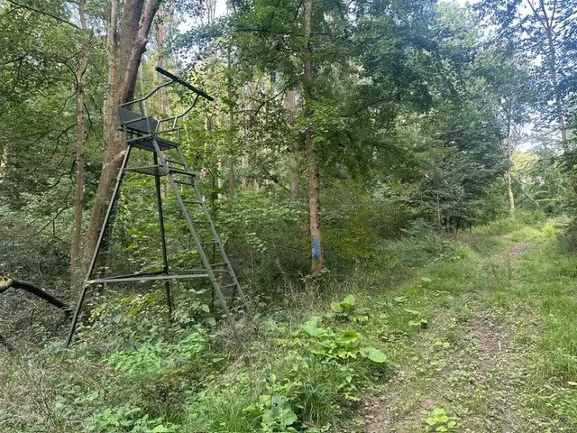 Ca. Hectare eigendoms perceel Bosgrond te Kirchohmfeld - Duitsland