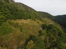 Voormalige wijngaarden 840 m², mogelijkheid tot herontwikkeling in Zell - Duitsland