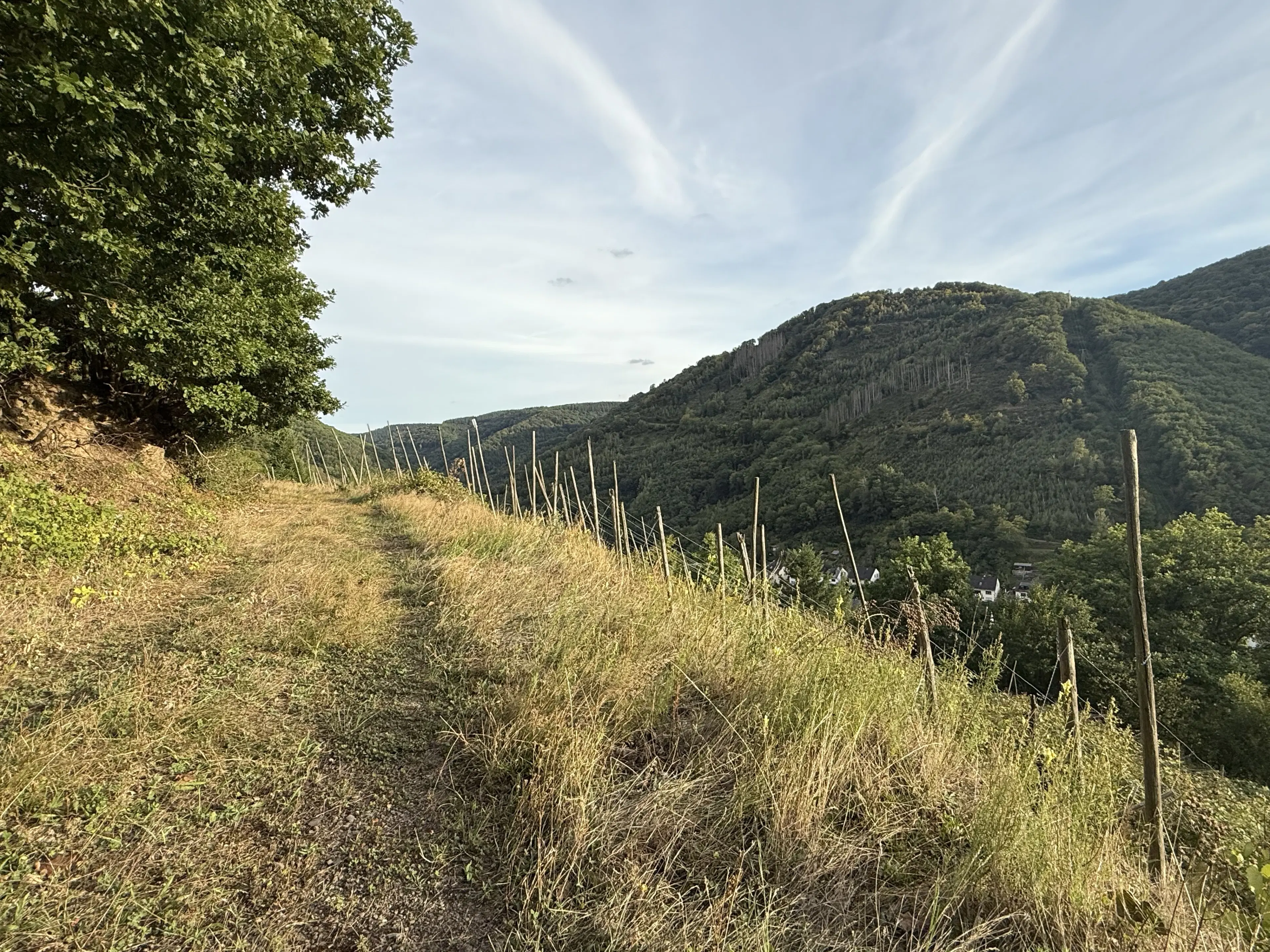 Voormalige wijngaarden 840 m², mogelijkheid tot herontwikkeling in Zell - Duitsland