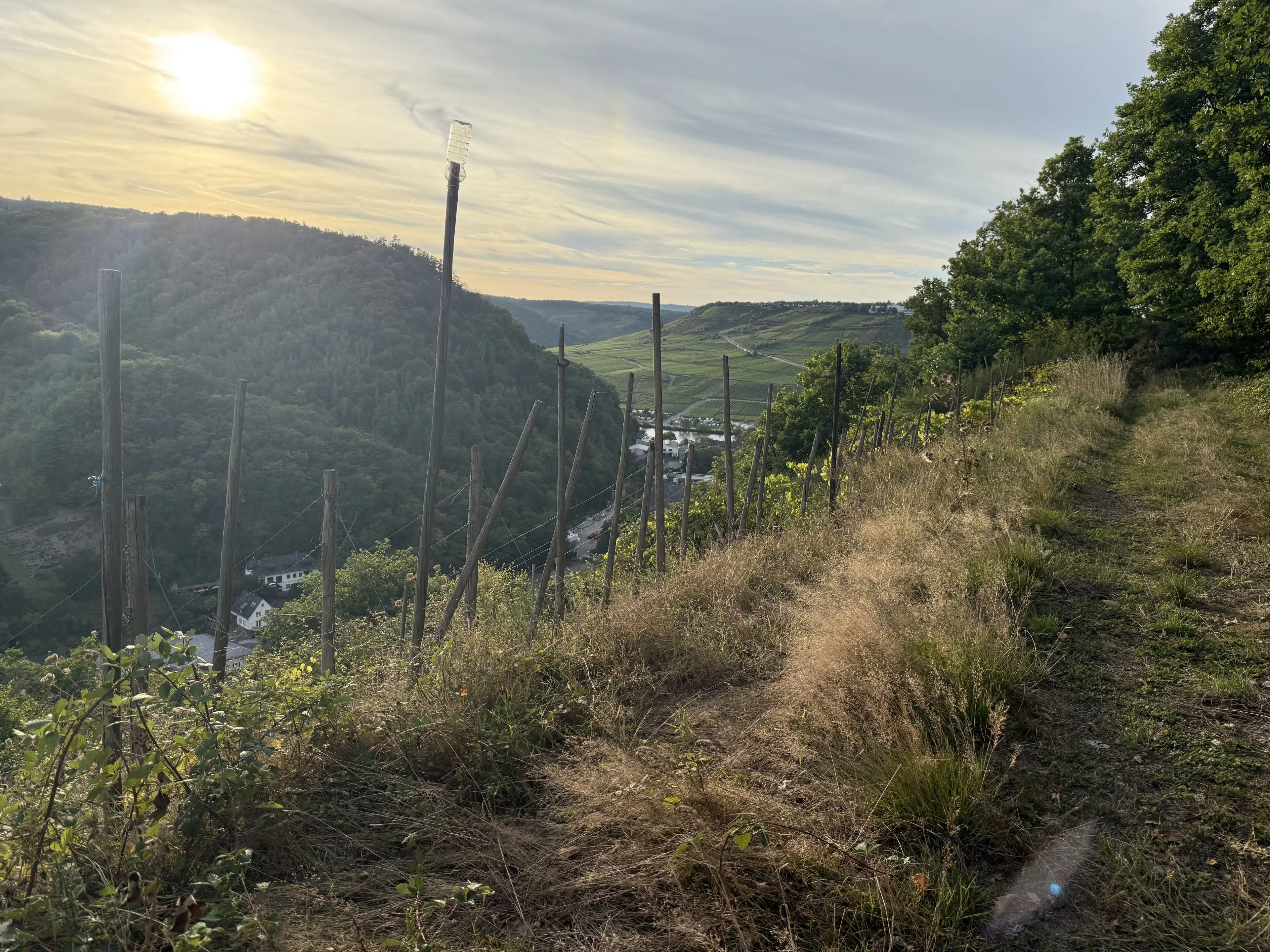 Voormalige wijngaarden 840 m², mogelijkheid tot herontwikkeling in Zell - Duitsland