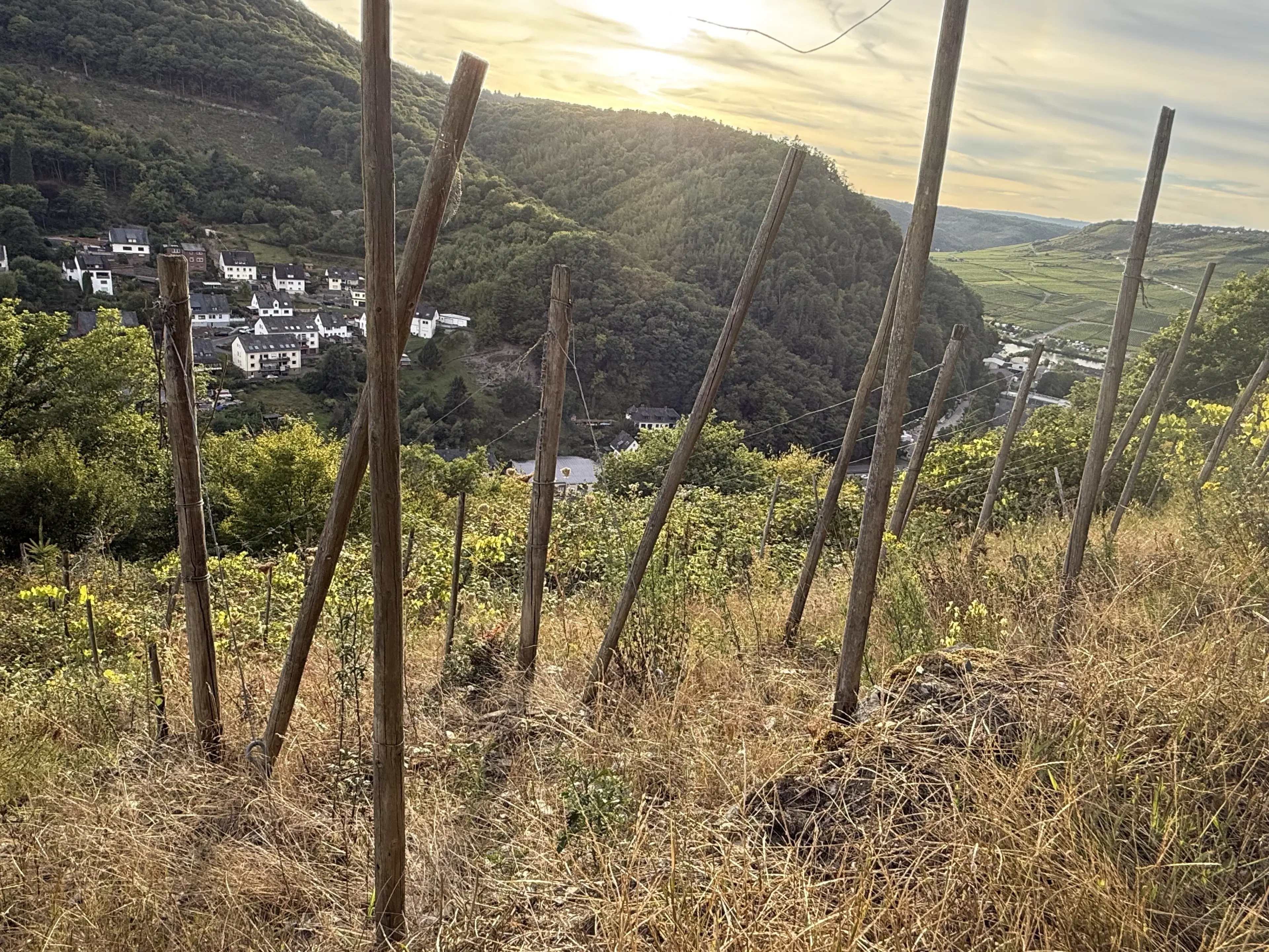 Voormalige wijngaarden 840 m², mogelijkheid tot herontwikkeling in Zell - Duitsland