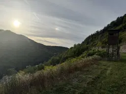 Voormalige wijngaarden 840 m², mogelijkheid tot herontwikkeling in Zell - Duitsland
