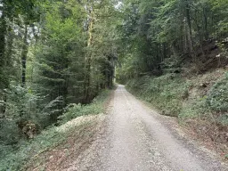 Voormalige wijngaarden 840 m², mogelijkheid tot herontwikkeling in Zell - Duitsland