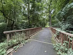 1,5 hectare bosgrond in Waldheim - Duitsland