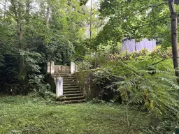 1,5 hectare bosgrond in Waldheim - Duitsland