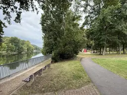 1,5 hectare bosgrond in Waldheim - Duitsland