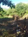 1.011 m² grond met een klassiek Balkanhuis en bijgebouw in Izvor Mahala - Bulgarije