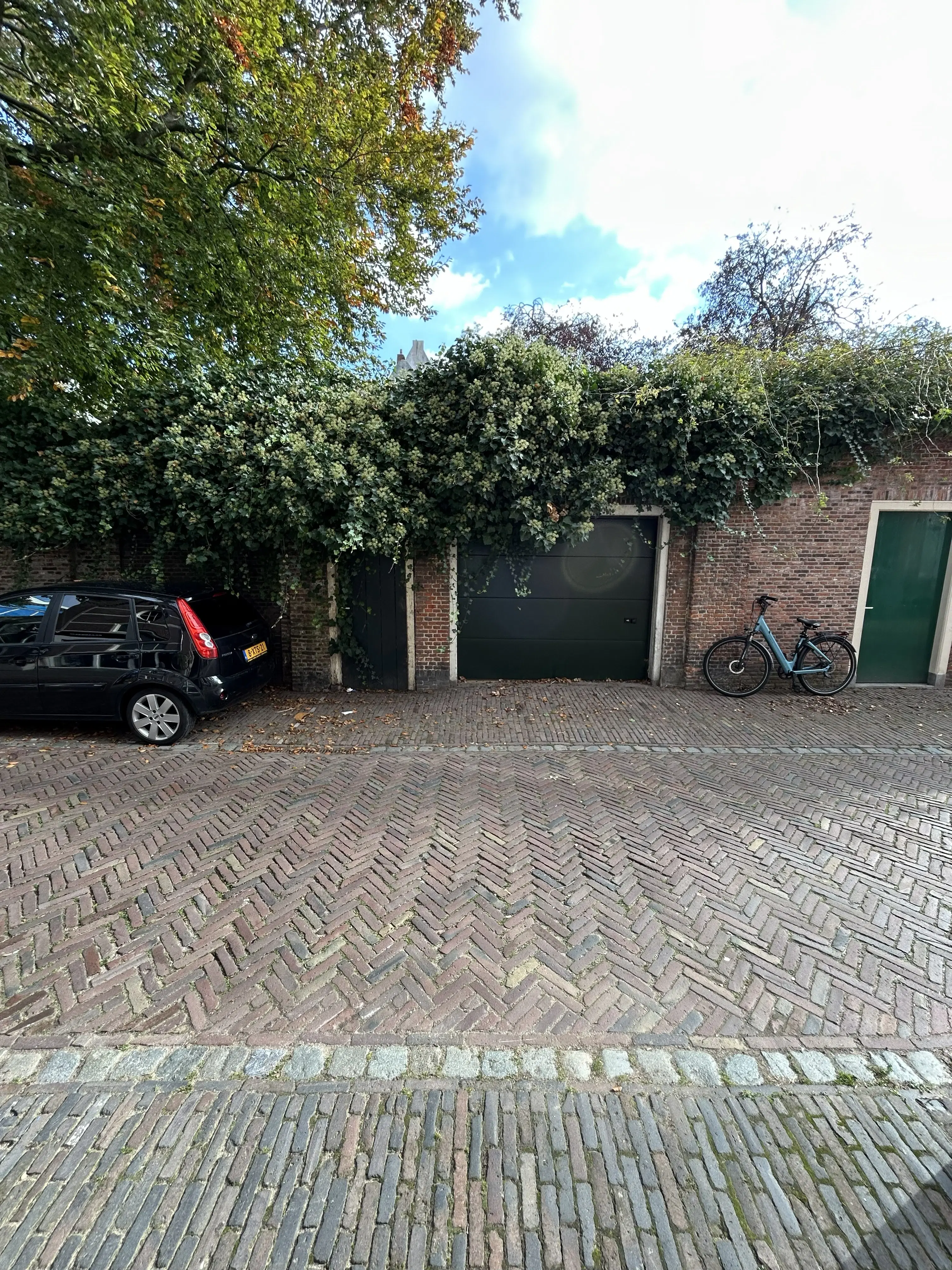 Leiden, Hooigracht 50 50A, 50B en 50C