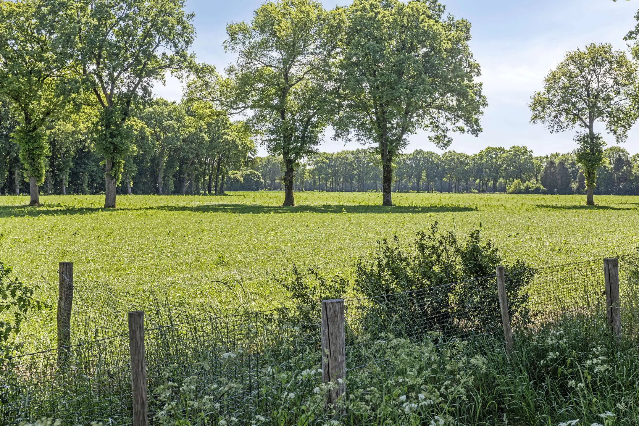 Otterlo, Harskamperweg 34