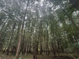 Perceel van 5.183 m² bij het water naast Bad Schmiedeberg - Duitsland