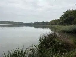 Perceel van 5.183 m² bij het water naast Bad Schmiedeberg - Duitsland