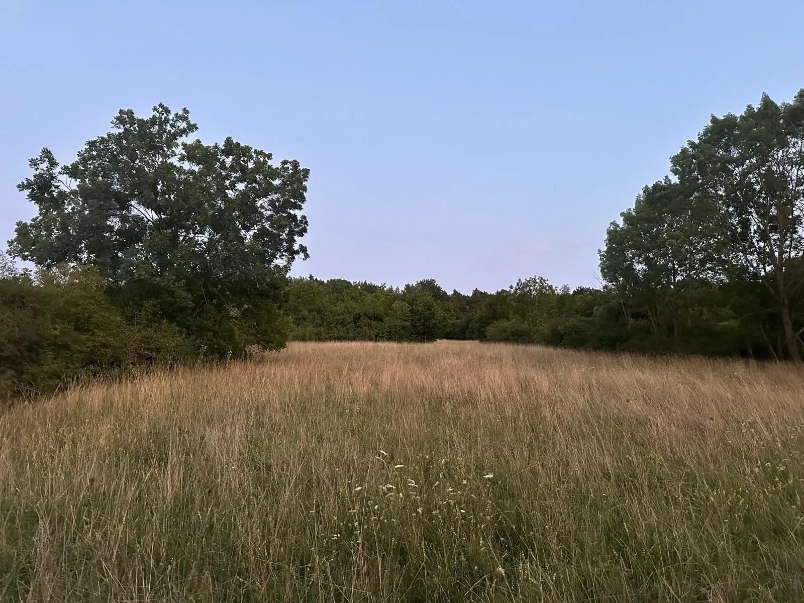 Off grid 1.020 m² eigendomsperceel nabij Röttingen, Bayern - Duitsland