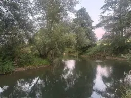 Off grid 1.020 m² eigendomsperceel nabij Röttingen, Bayern - Duitsland