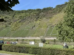 3 percelen van totaal 604 m² in Cochem - Duitsland