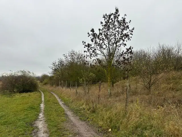 Eigendomsperceel van ca. 3.740 m² -off grid- Niederndodeleben, Maagdenburg - Duitsland