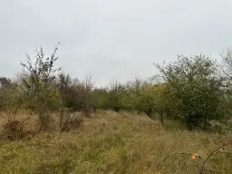 Eigendomsperceel van ca. 3.740 m² -off grid- Niederndodeleben, Maagdenburg - Duitsland