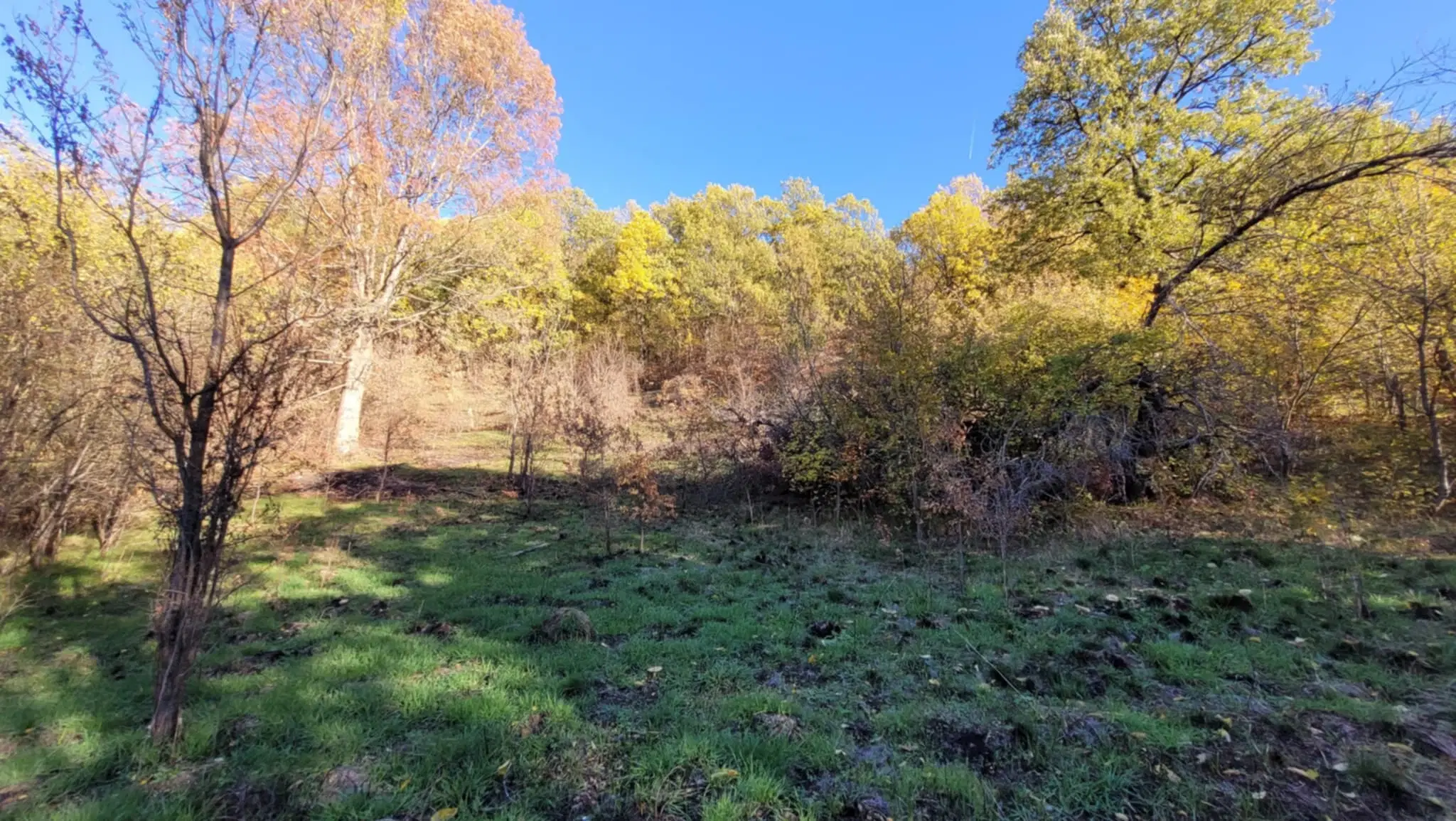 Huis met een perceel van 686 m² en extra gebouwen in Kosta Perchevo - Bulgarije