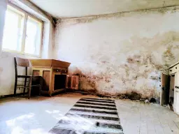 Eigendom 2 huizen aan de rivier, bijgebouw en 1.100 m² grond in Podgore, Vidin - Bulgarije