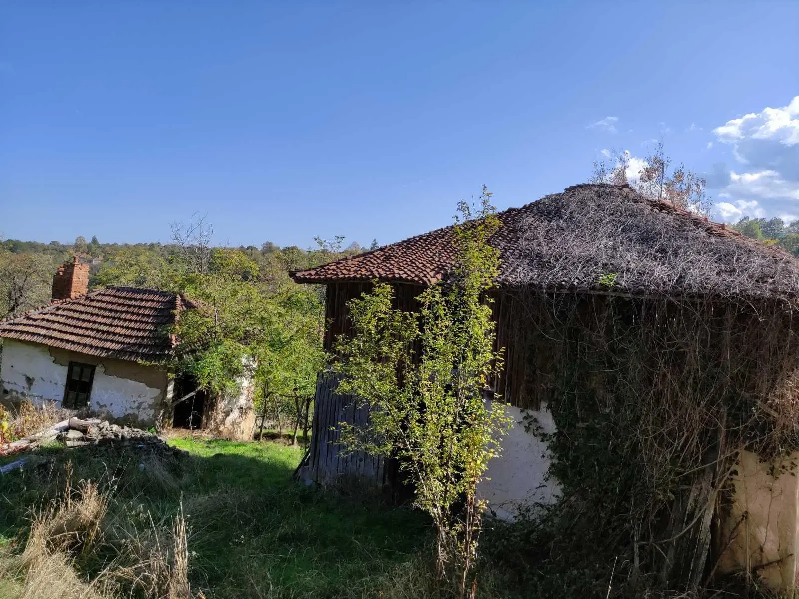 Eigendom 2 huizen aan de rivier, bijgebouw en 1.100 m² grond in Podgore, Vidin - Bulgarije