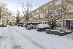 Amstelveen, Colorado 7