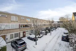 Amstelveen, Colorado 7