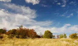 6.513 m² bosgrond in de regio Belogradchik - Bulgarije