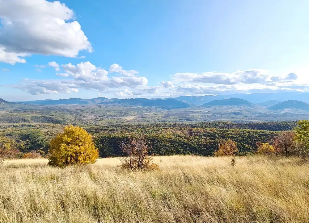 6.513 m² bosgrond in de regio Belogradchik - Bulgarije
