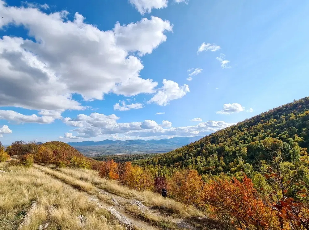 6.513 m² bosgrond in de regio Belogradchik - Bulgarije