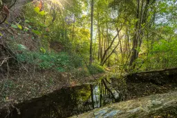 45.863 m² bosgrond in Brankovtsi, Vidin - Bulgarije